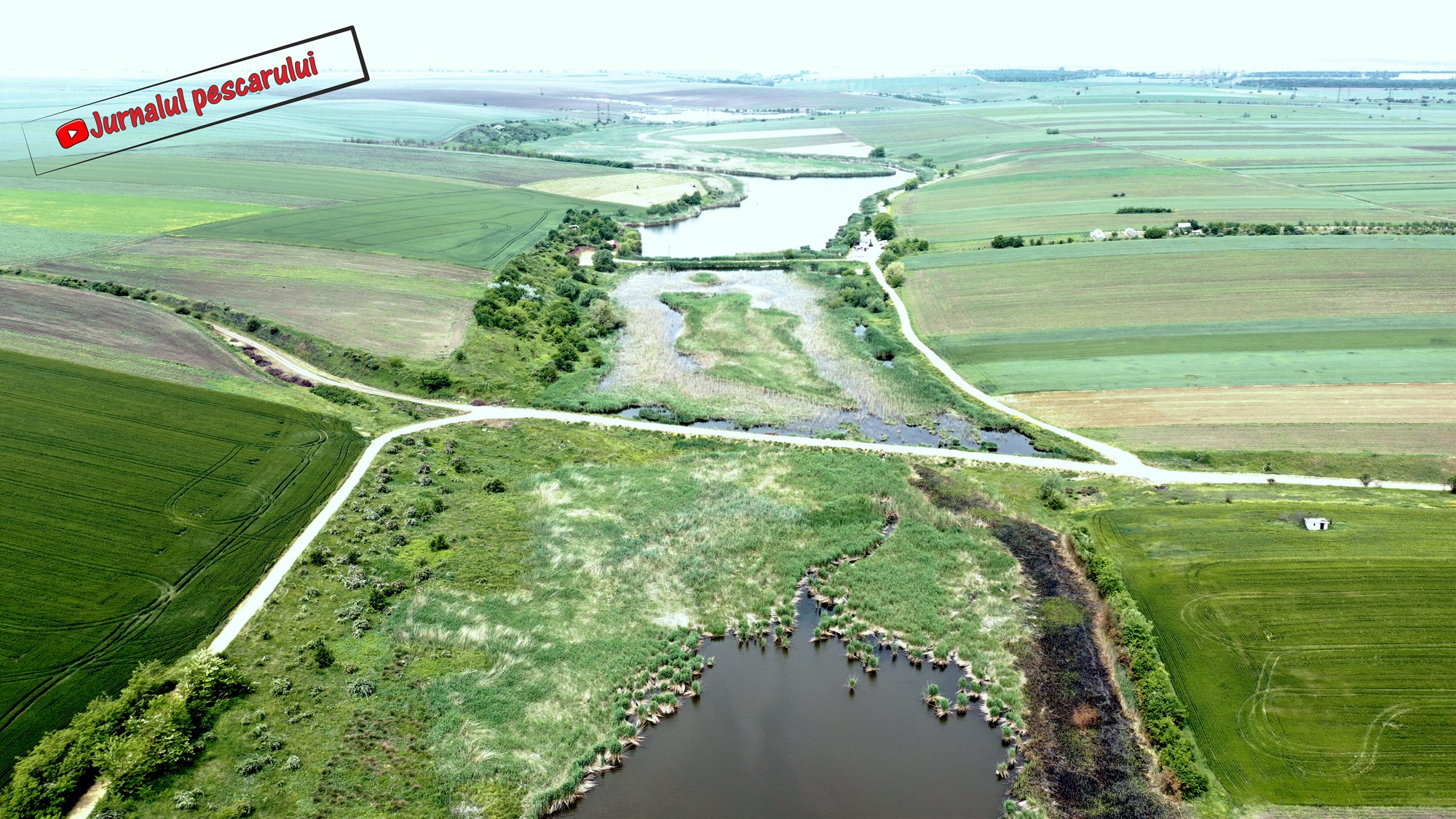 Balata LAZAR Alexandria  15 - 17 mai 2020 - 10.jpg